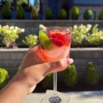 rose sangria recipe